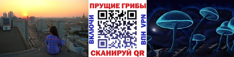 Псилоцибиновые грибы мухоморы Ивантеевка