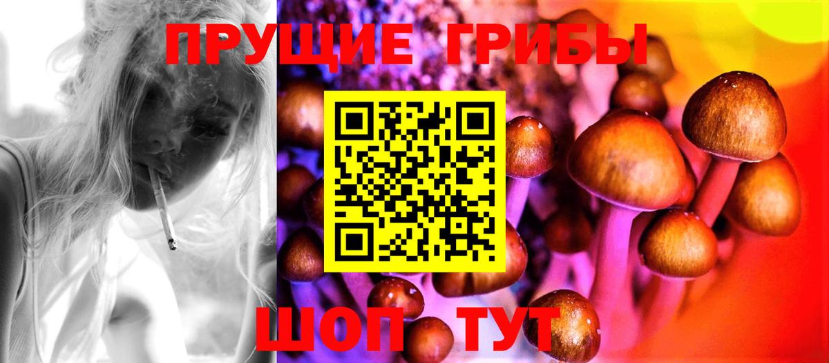 что такое   Галлюциногенные грибы GOLDEN TEACHER  Вход с VPN  Ивантеевка 